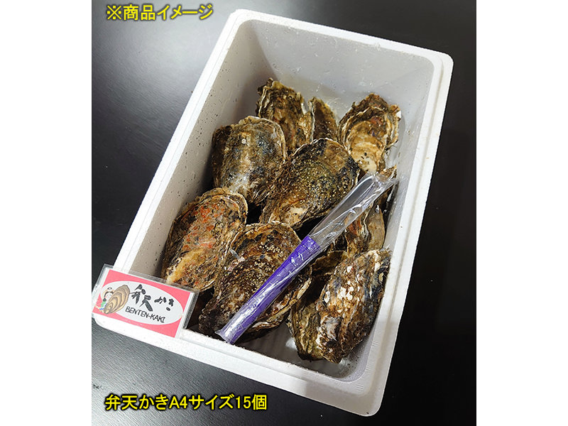 厚岸漁業協同組合直売店エーウロコ 厚岸ブランド 弁天かき15個セット 厚岸漁業協同組合直売店エーウロコ 厚岸ブランド 弁天かき15個セット