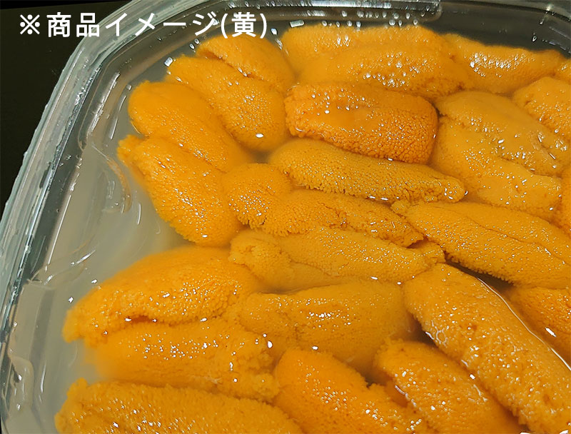 厚岸漁業協同組合直売店エーウロコ 塩水ウニ 80g 厚岸漁業協同組合直売店エーウロコ 塩水ウニ 80g