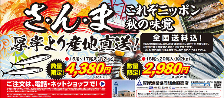全国送料込み　鮮さんま